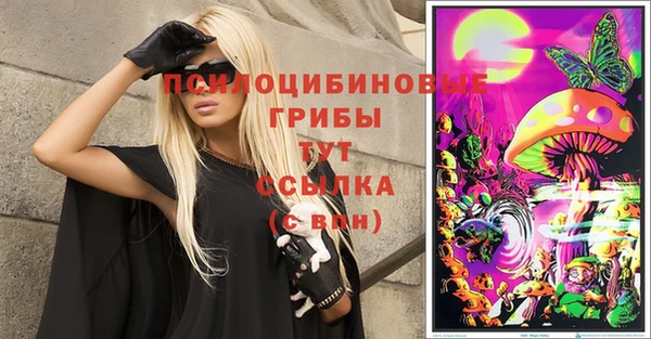 стафф Абаза